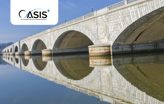 OASIS (1)